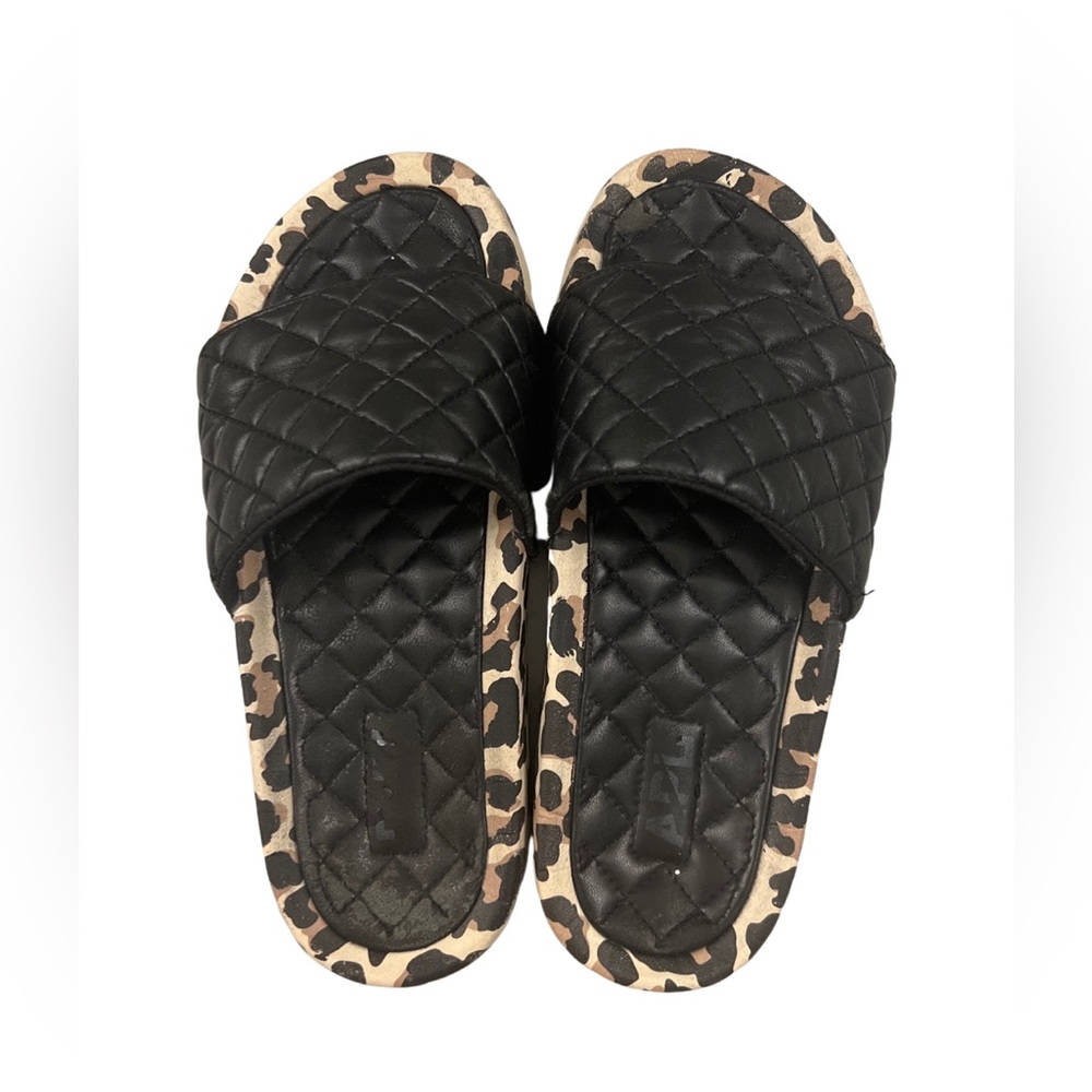 APL slides size 6